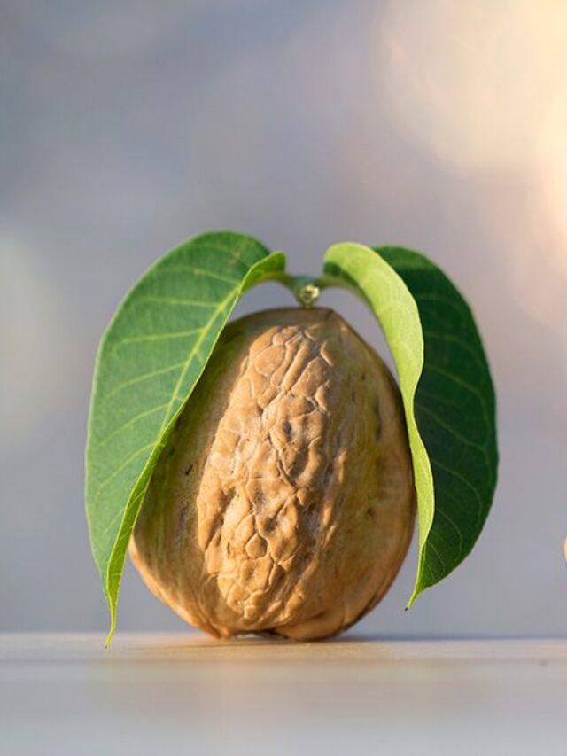 Walnuts: The holiday superfood with a nutritional punch